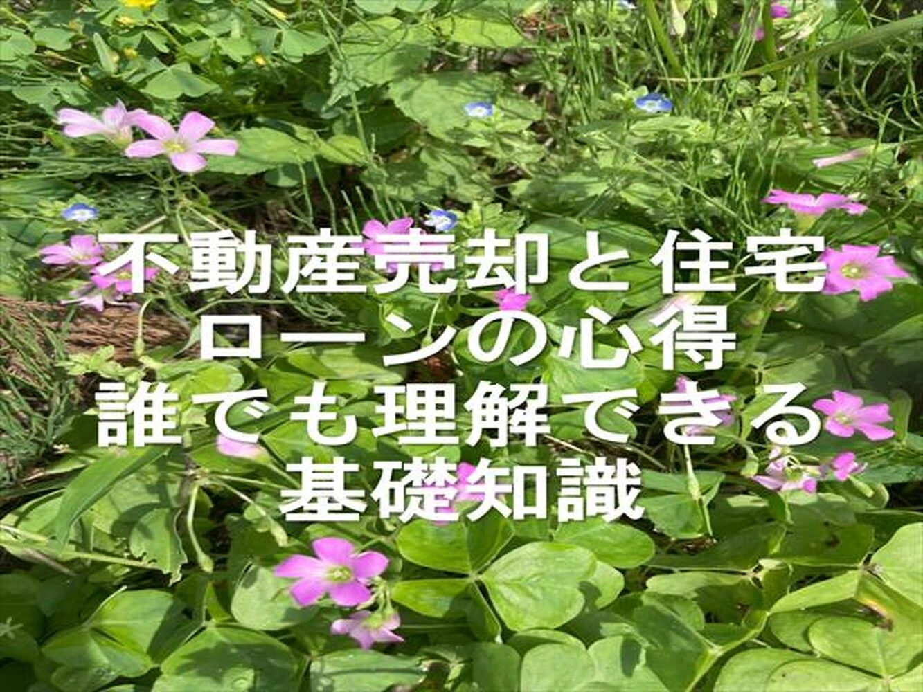 画像10104
