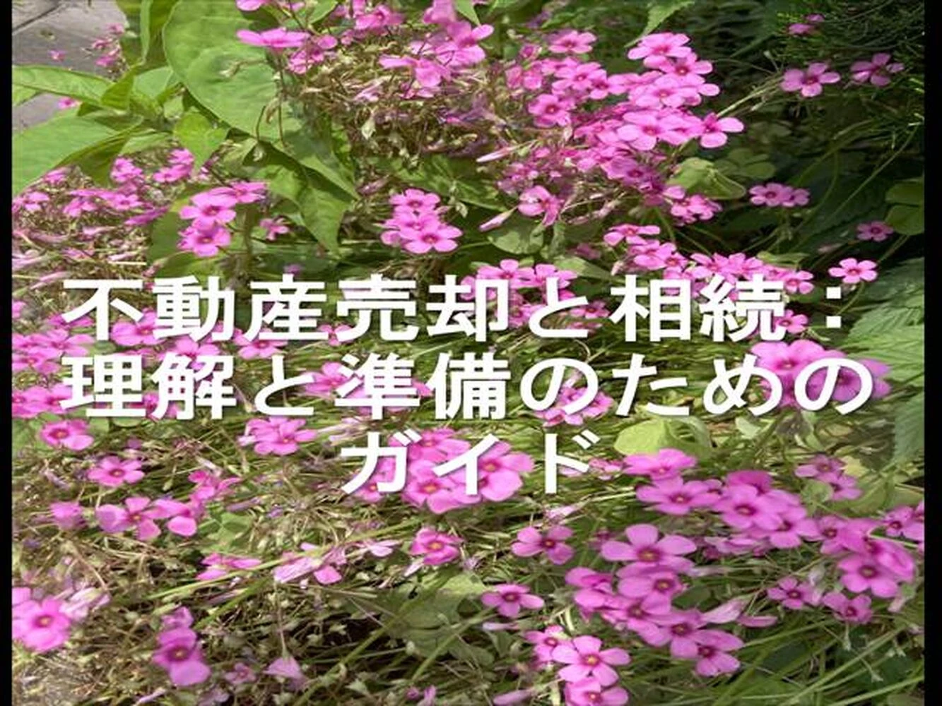 画像10186