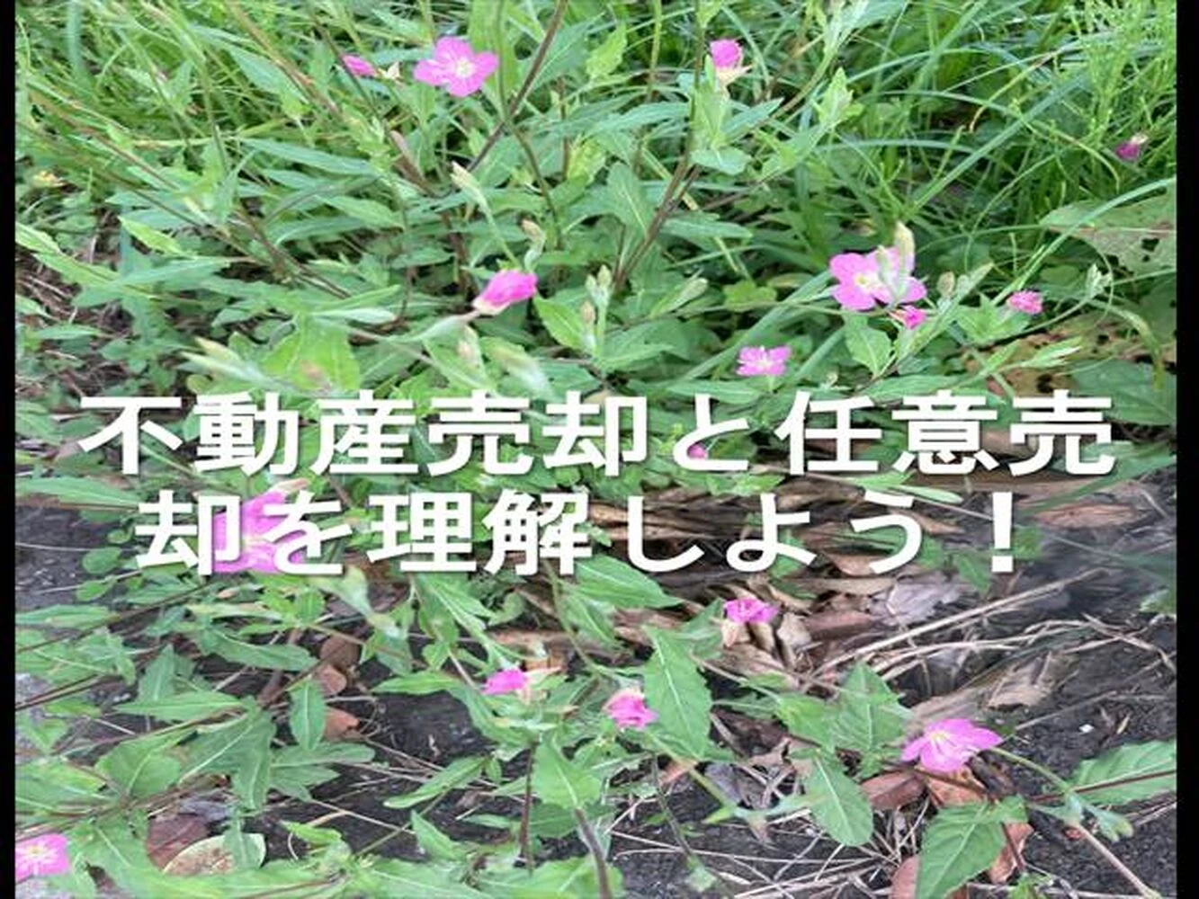 画像10225