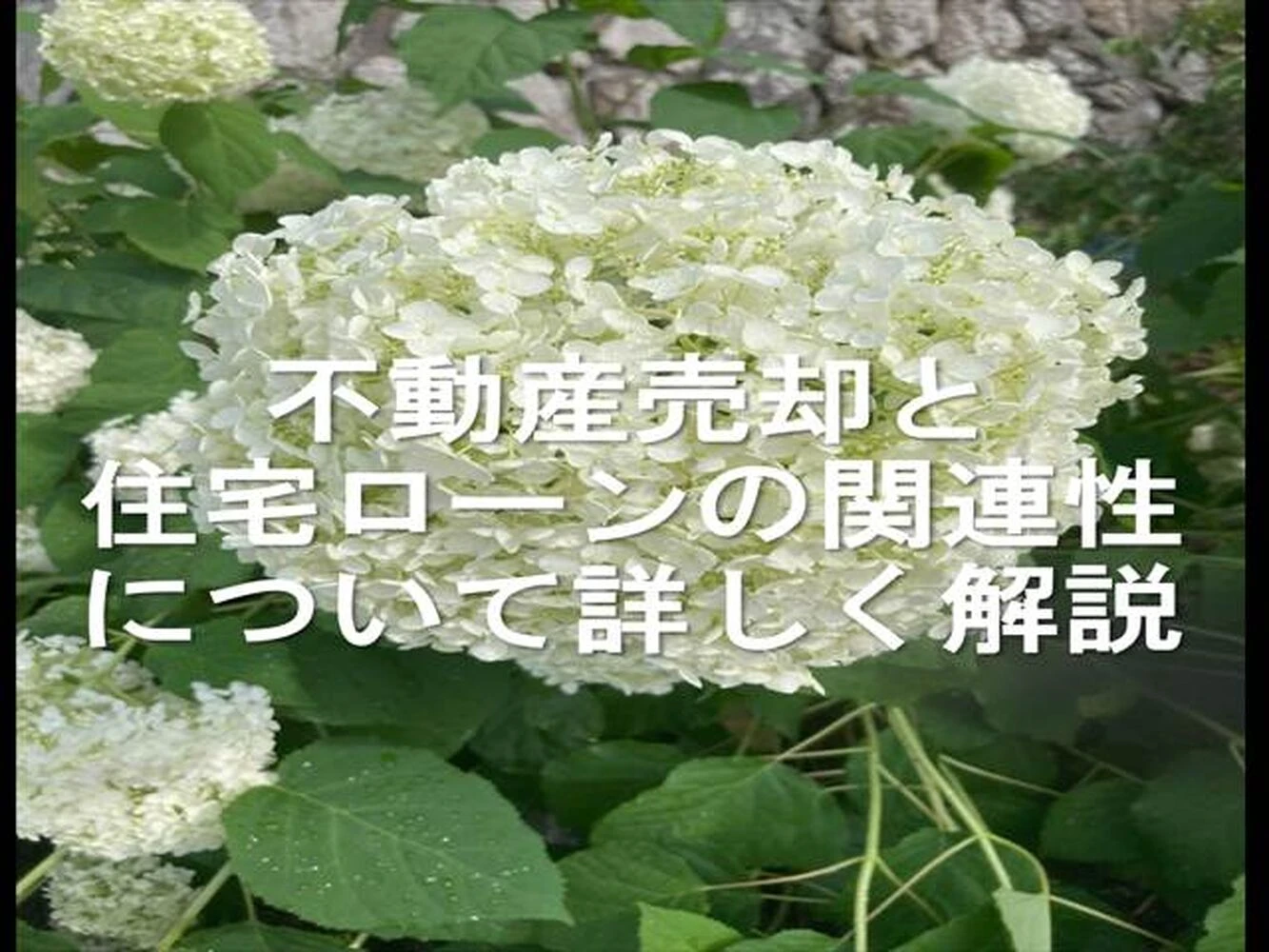 画像10546