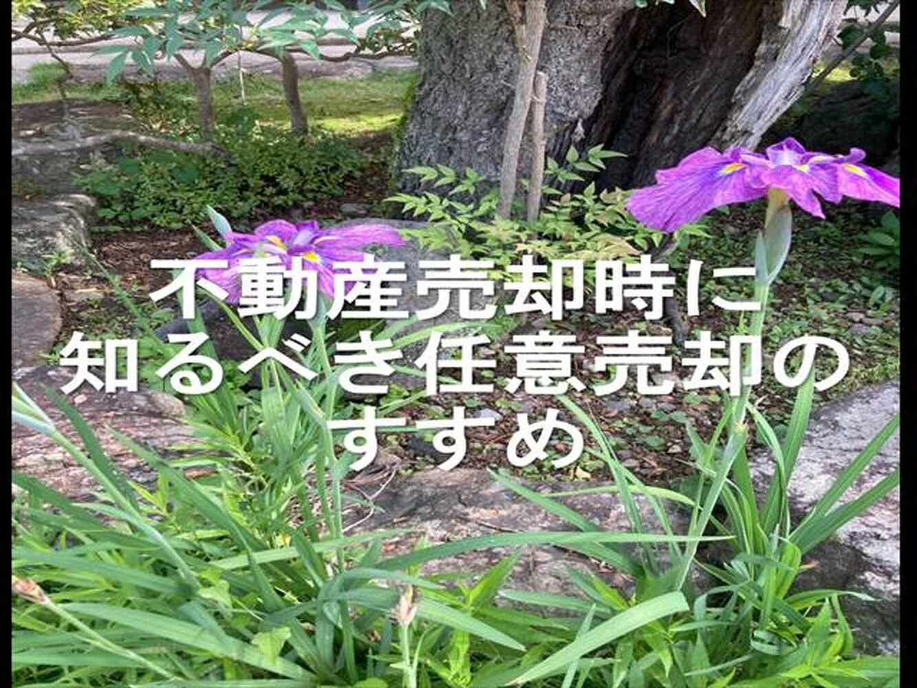 画像10755