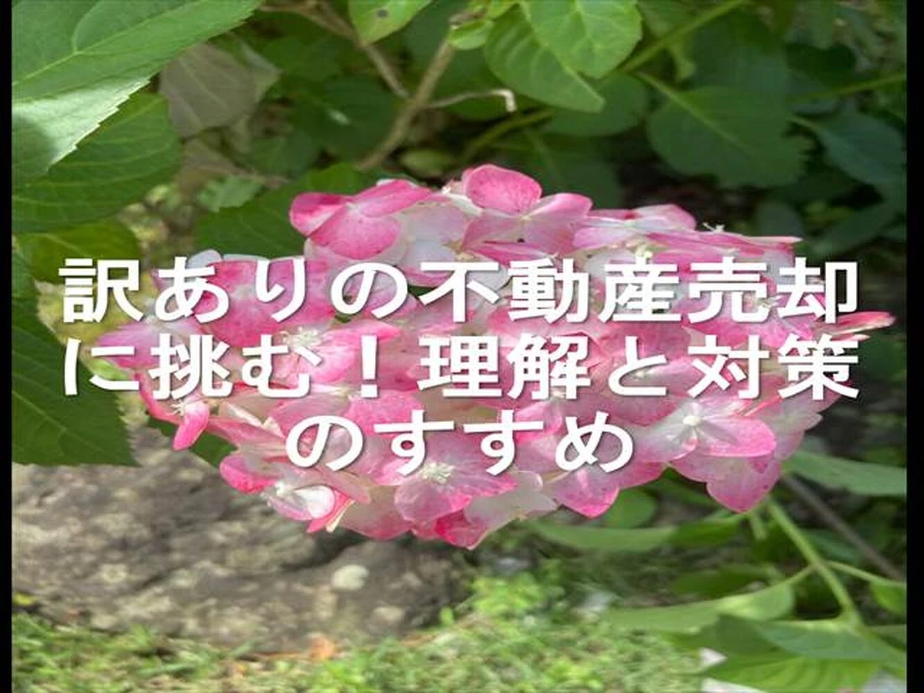 画像10790