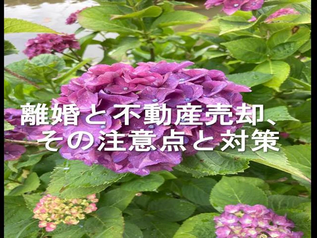 画像10844