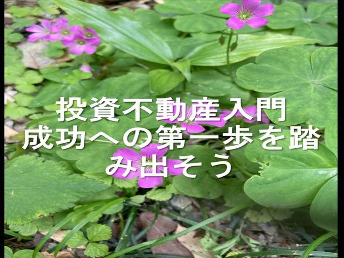 画像10876