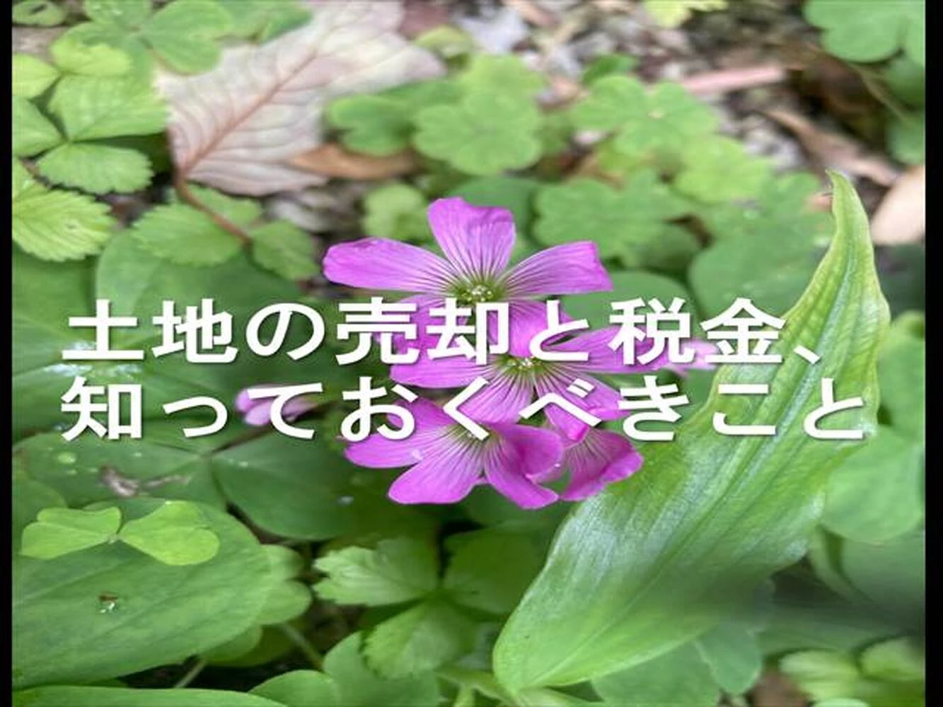 画像10918