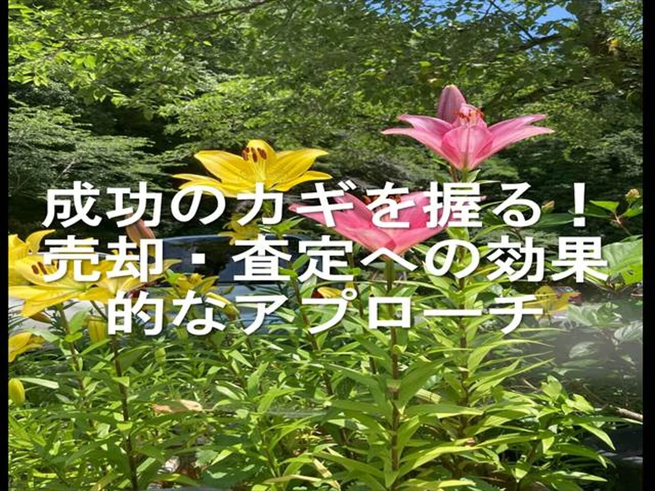 画像11095