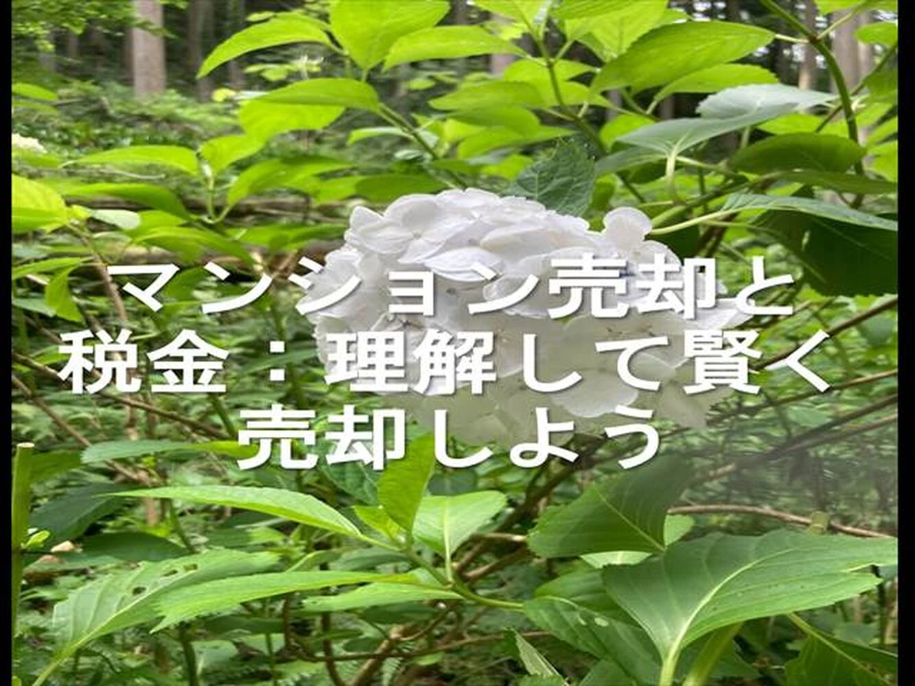 画像11097