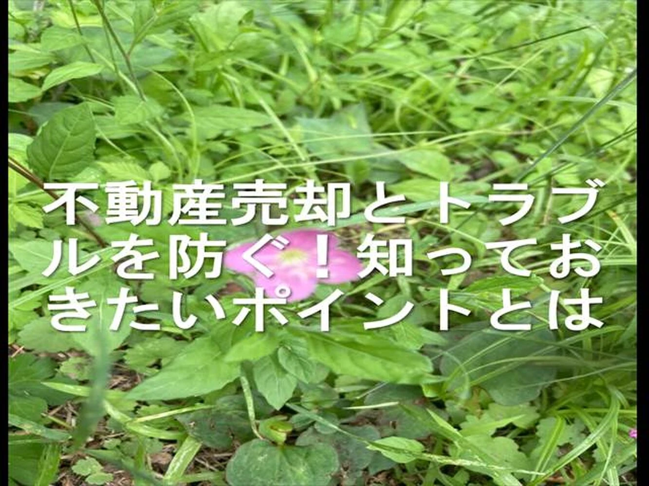 画像11416
