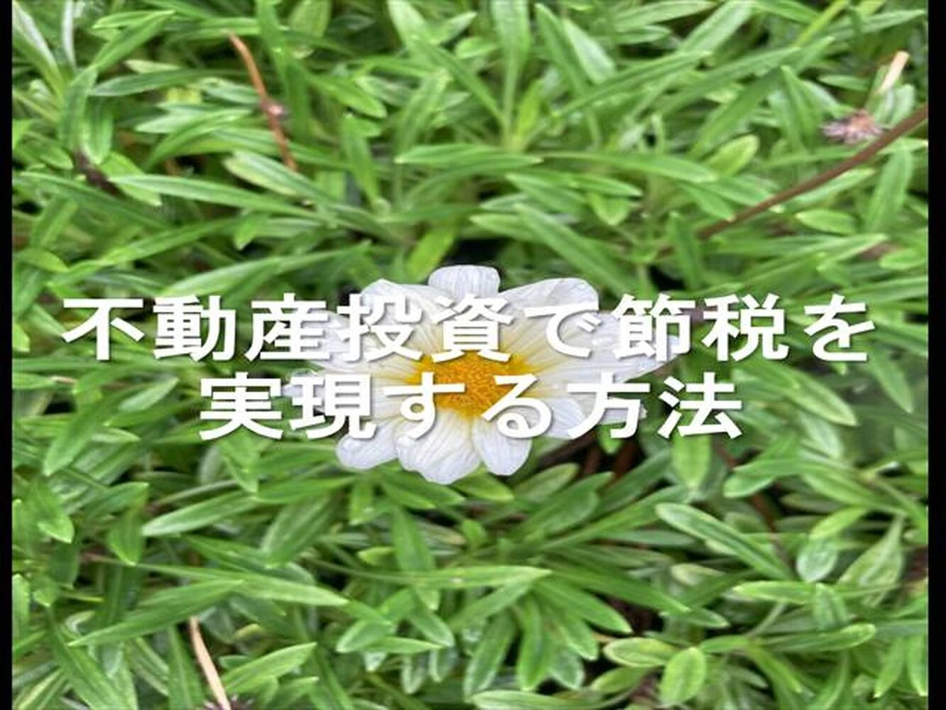 画像11658