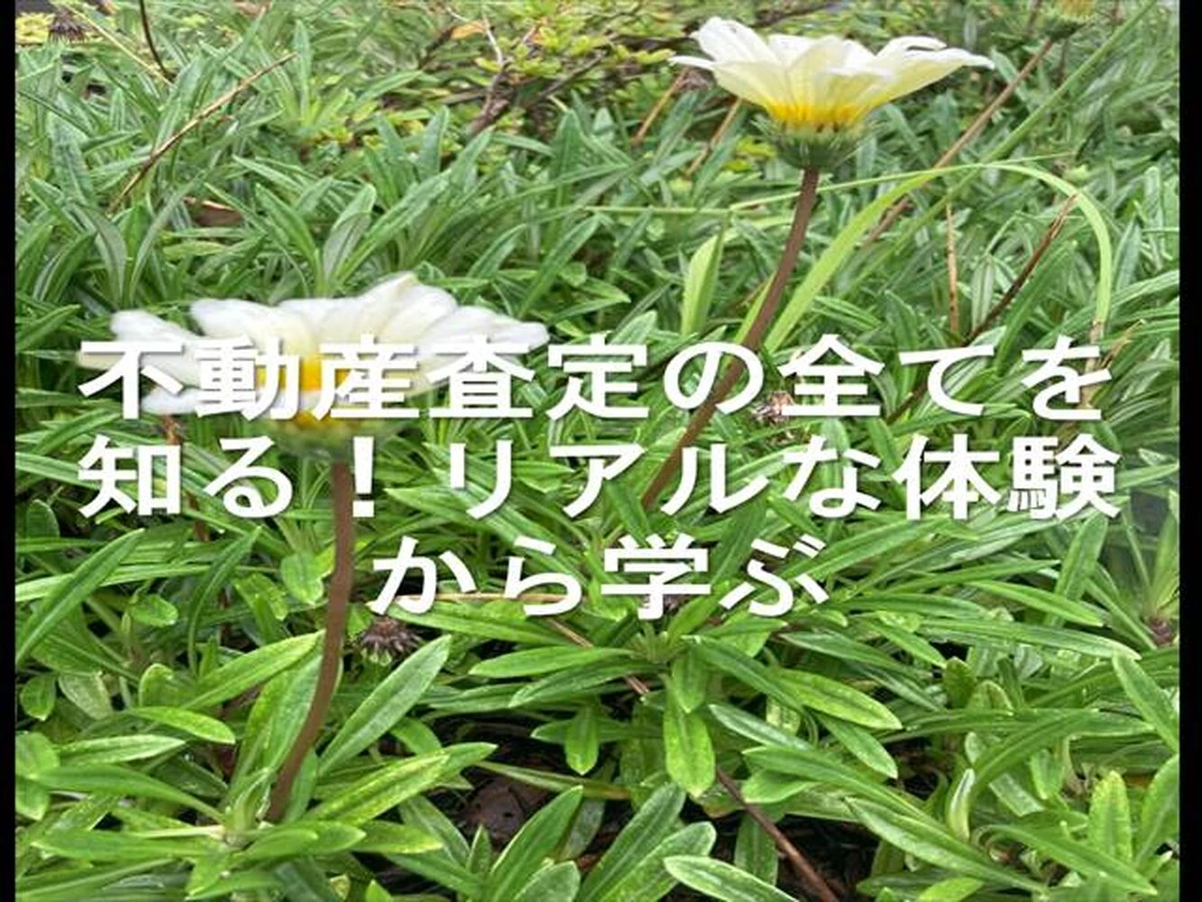 画像11741