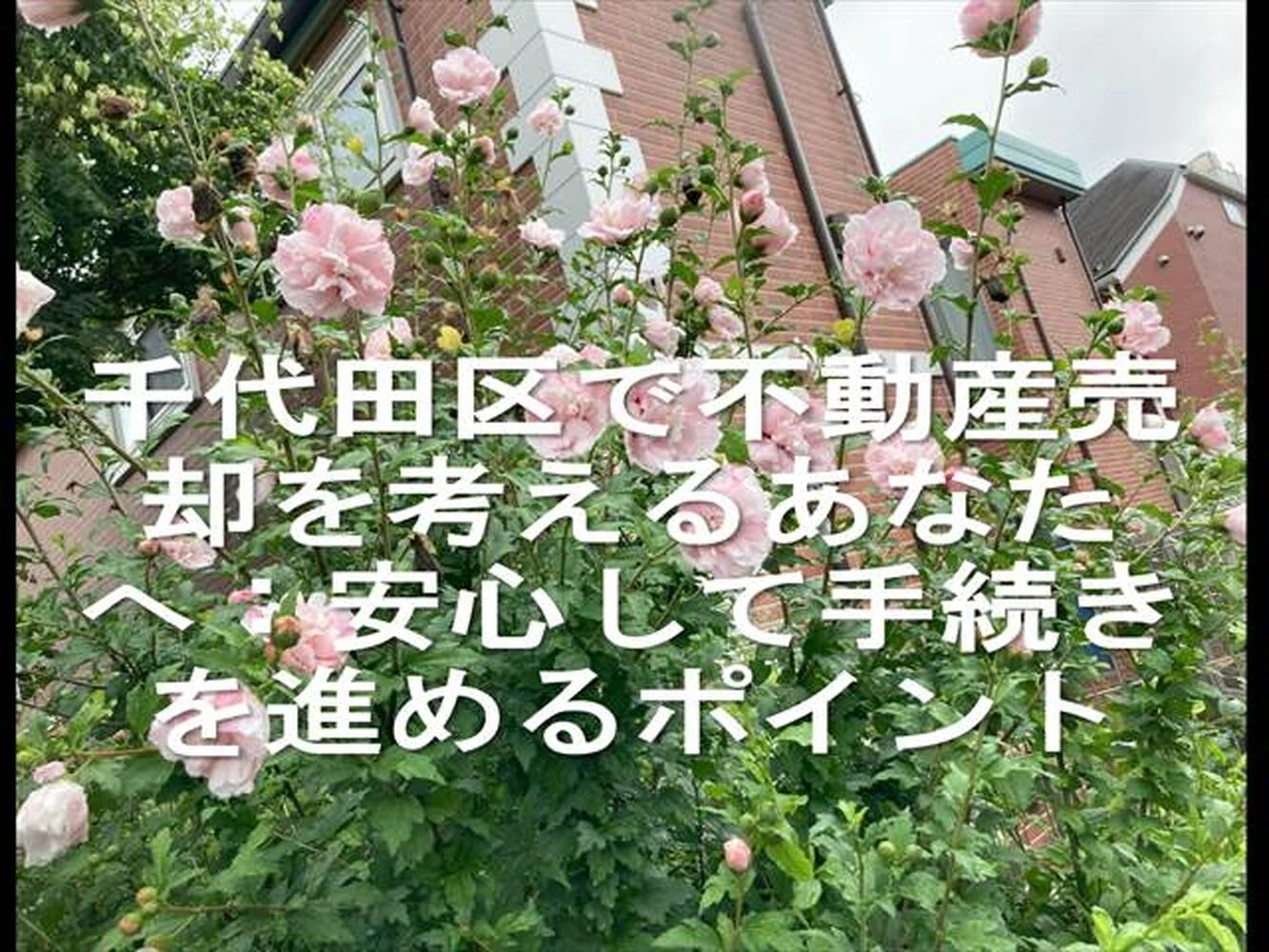 画像12216