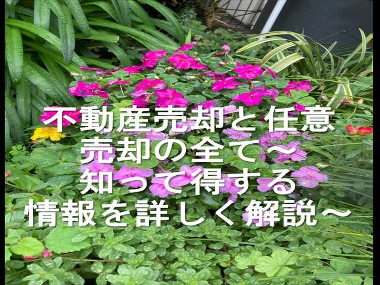 画像12218