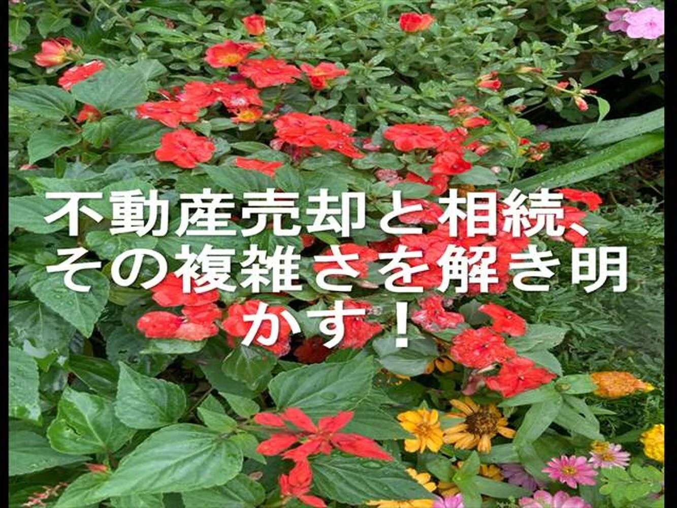 画像12236
