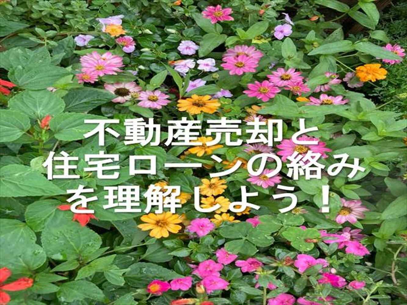 画像12290