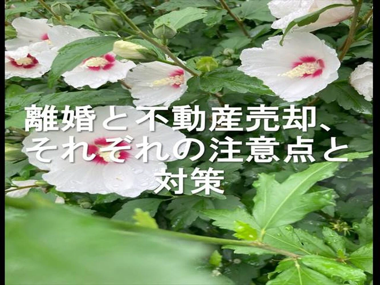 画像12685