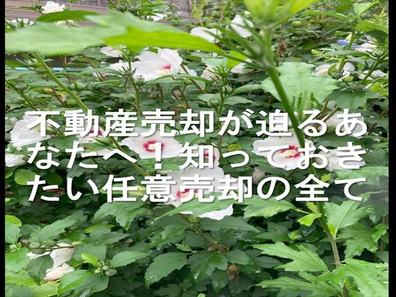 画像12688