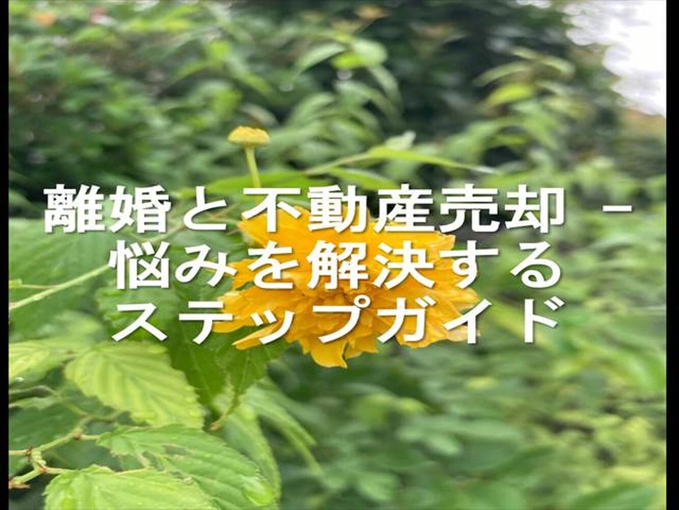 画像12966