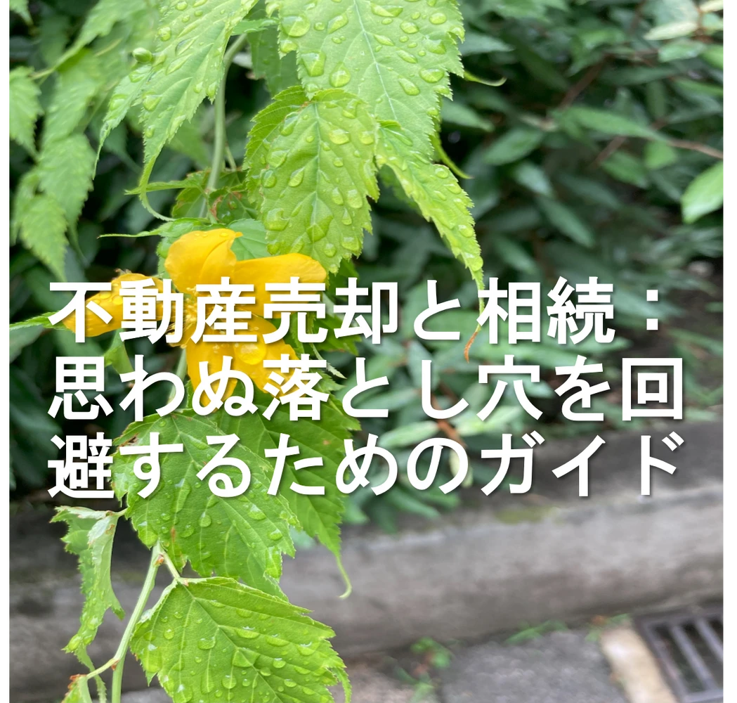 画像13003