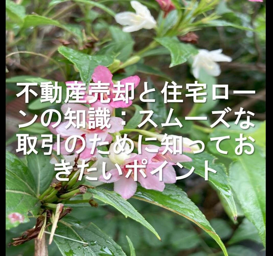 画像13100