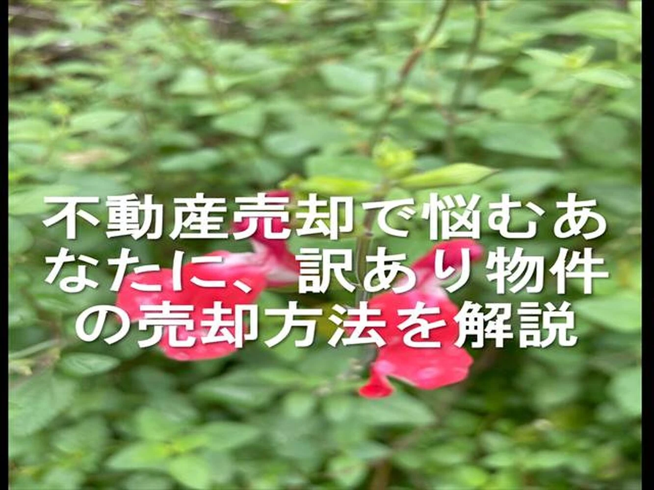 画像13157