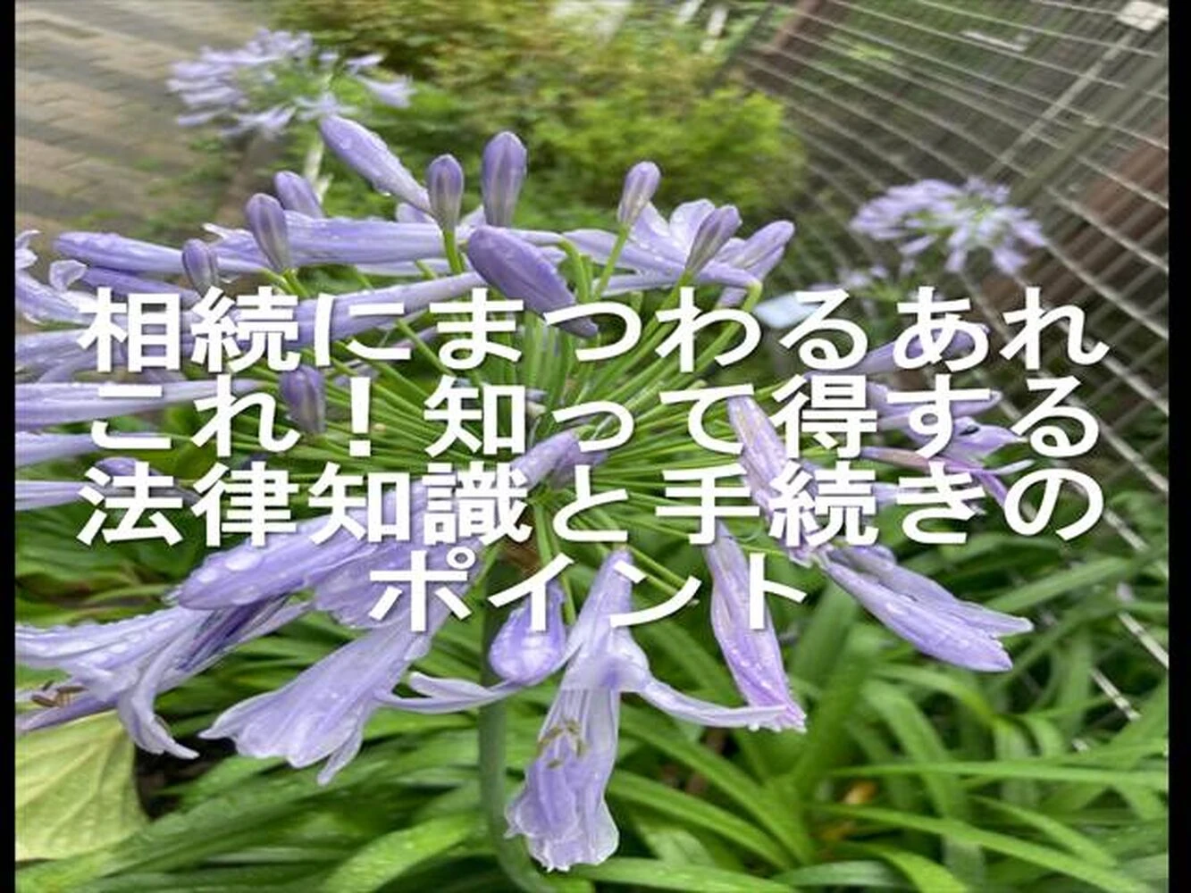 画像13372