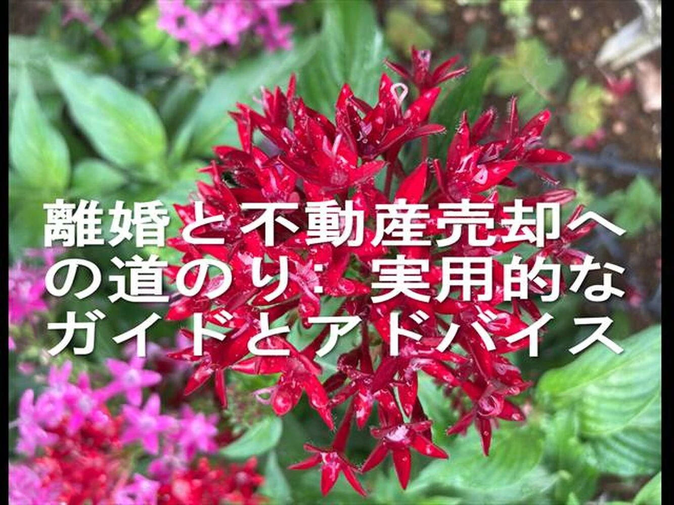 画像13387