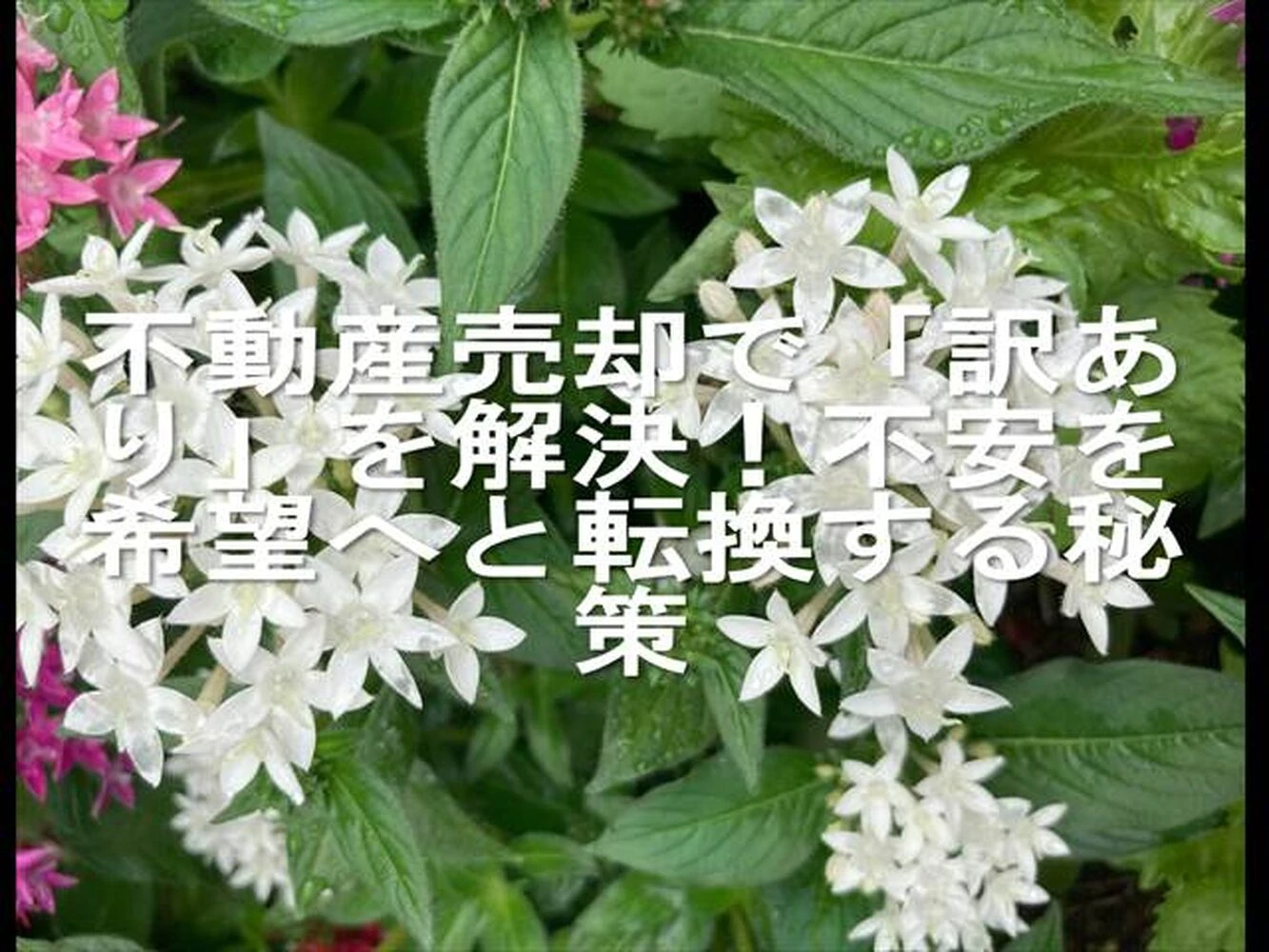 画像13396
