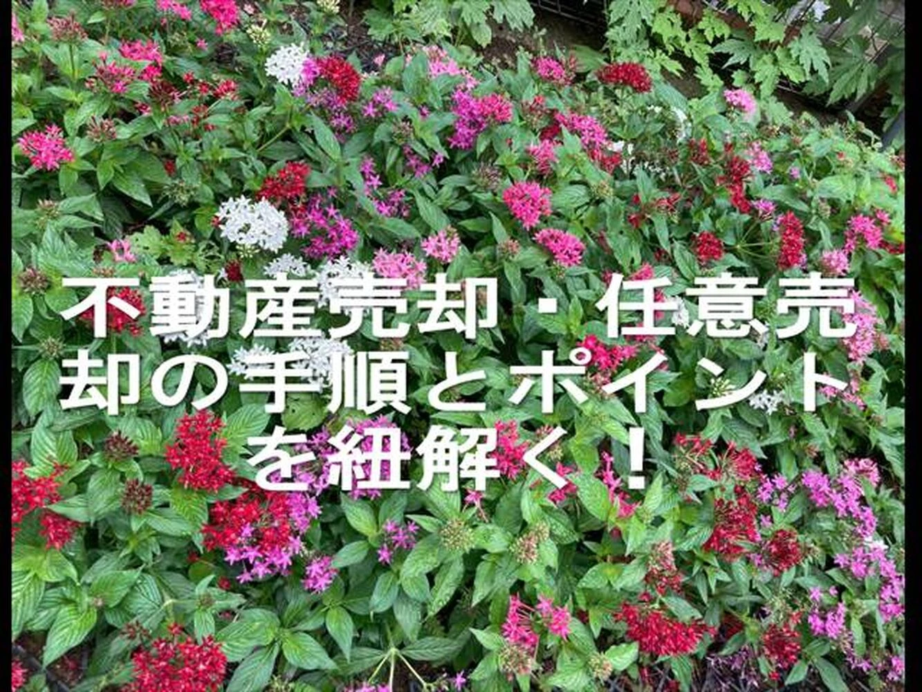画像13421