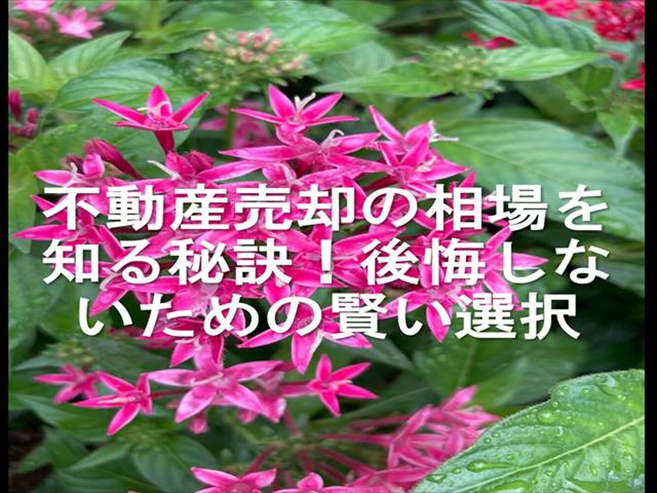 画像13680