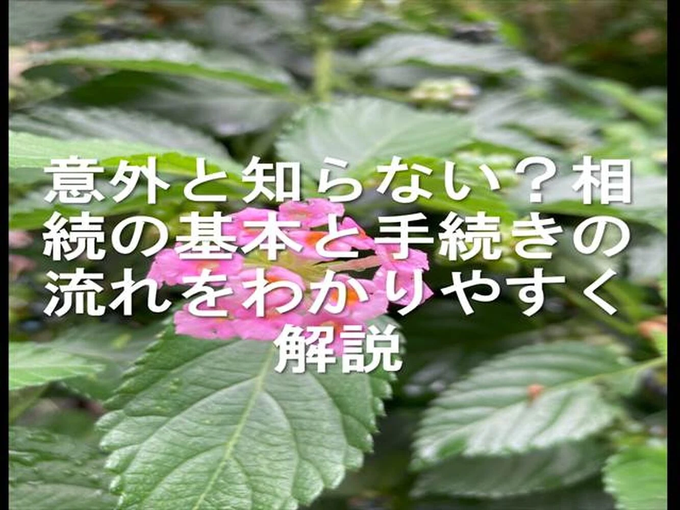 画像13707