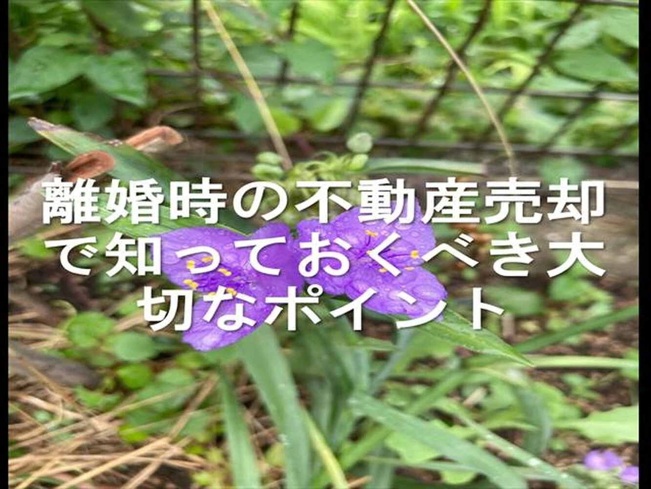 画像13784