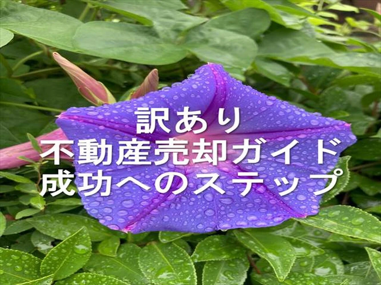 画像13793