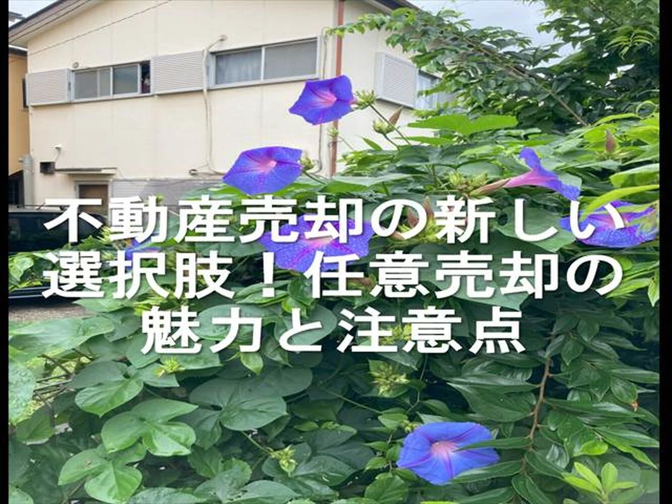 画像13818