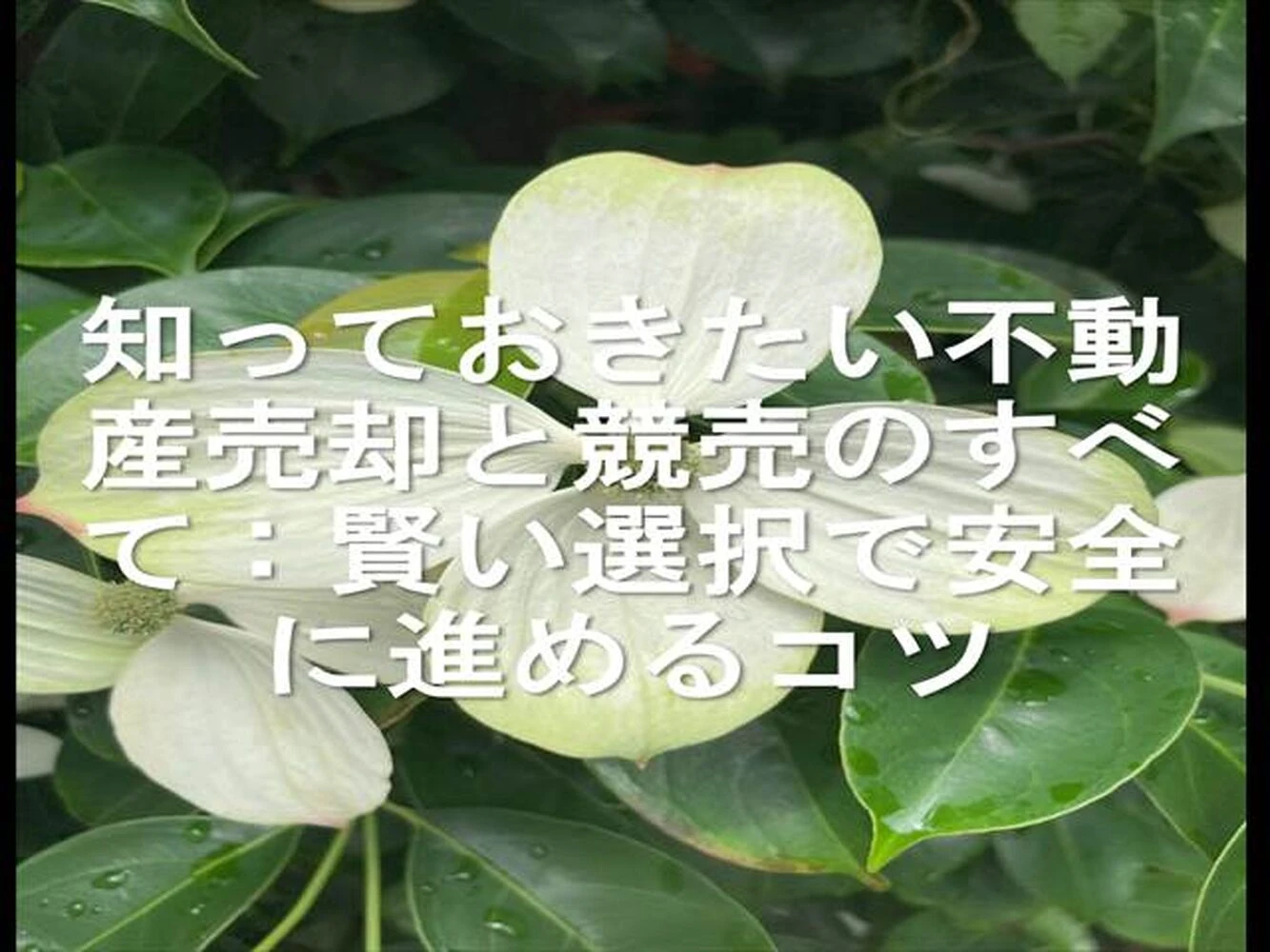 画像14019