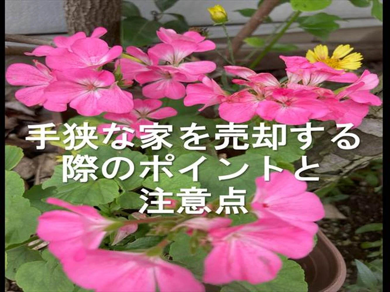 画像14046