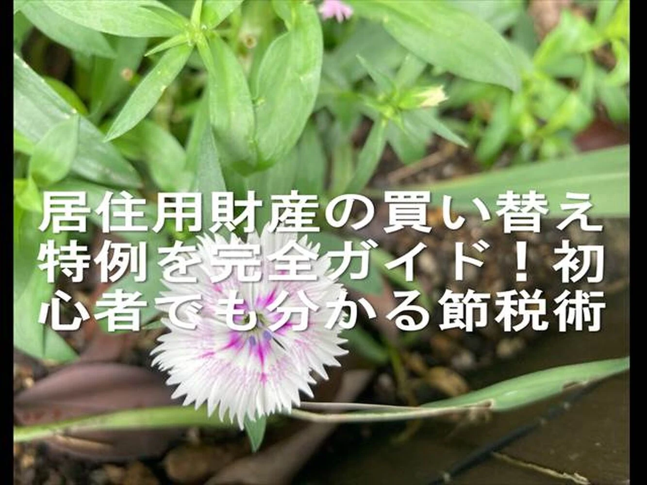 画像14211