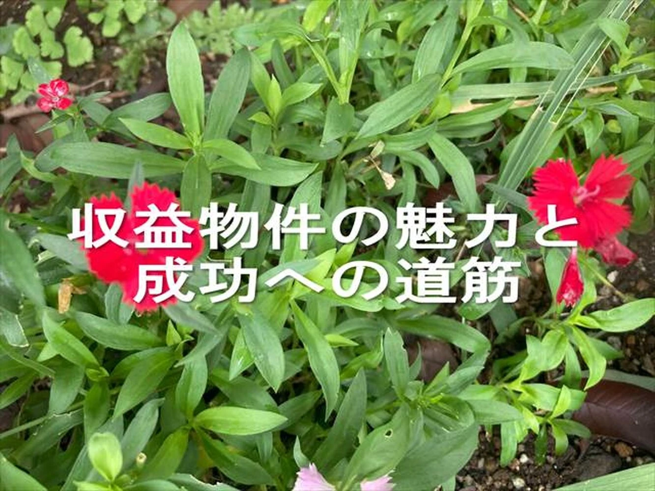 画像14238