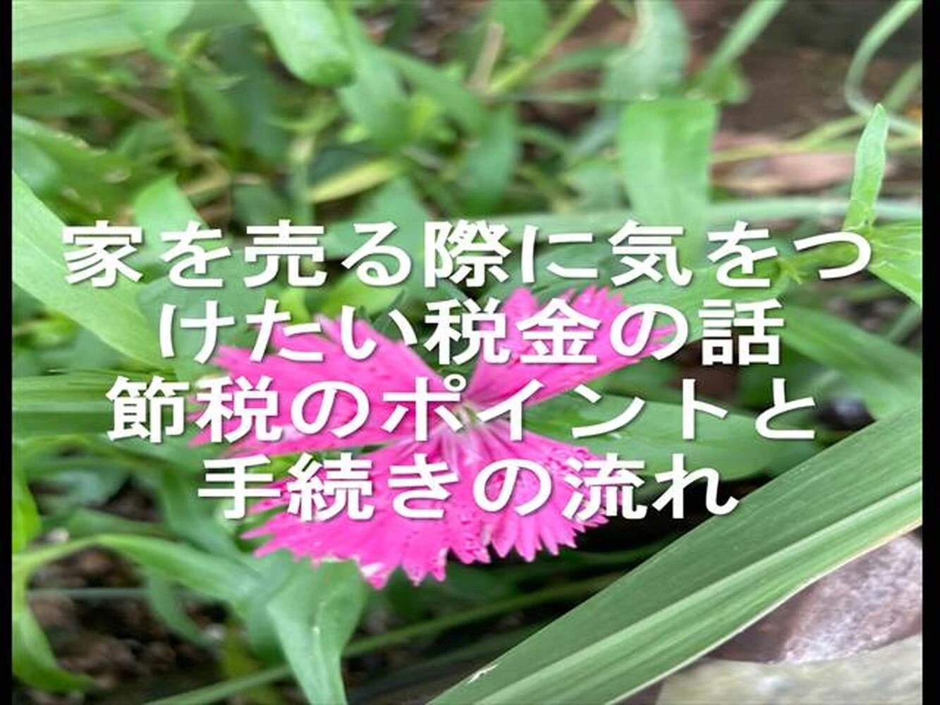 画像14288