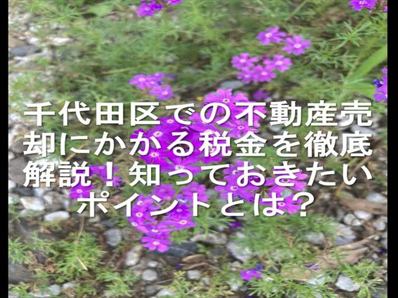 画像14648