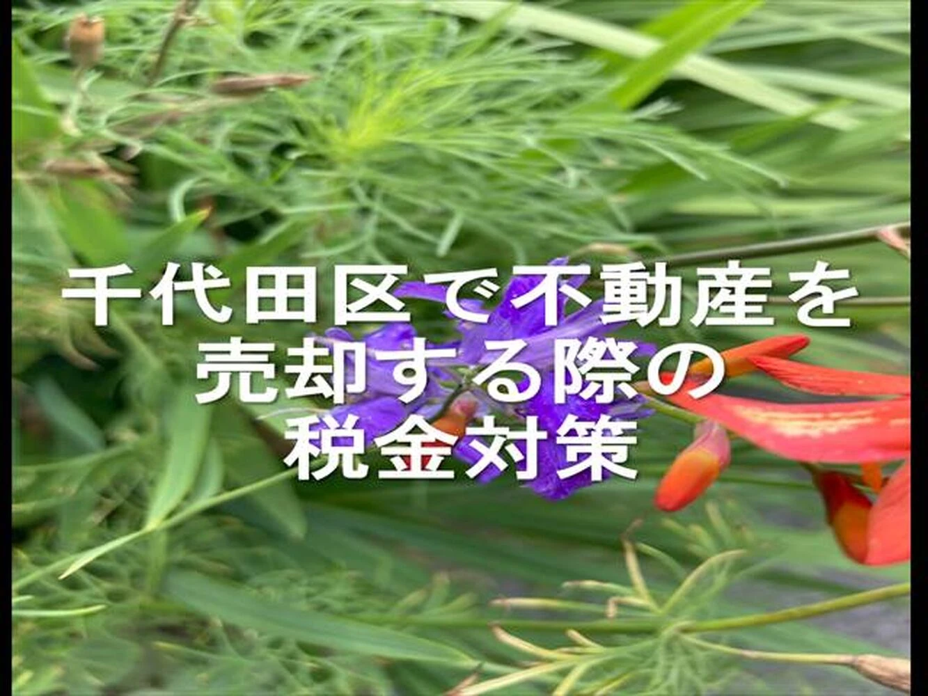 画像14714