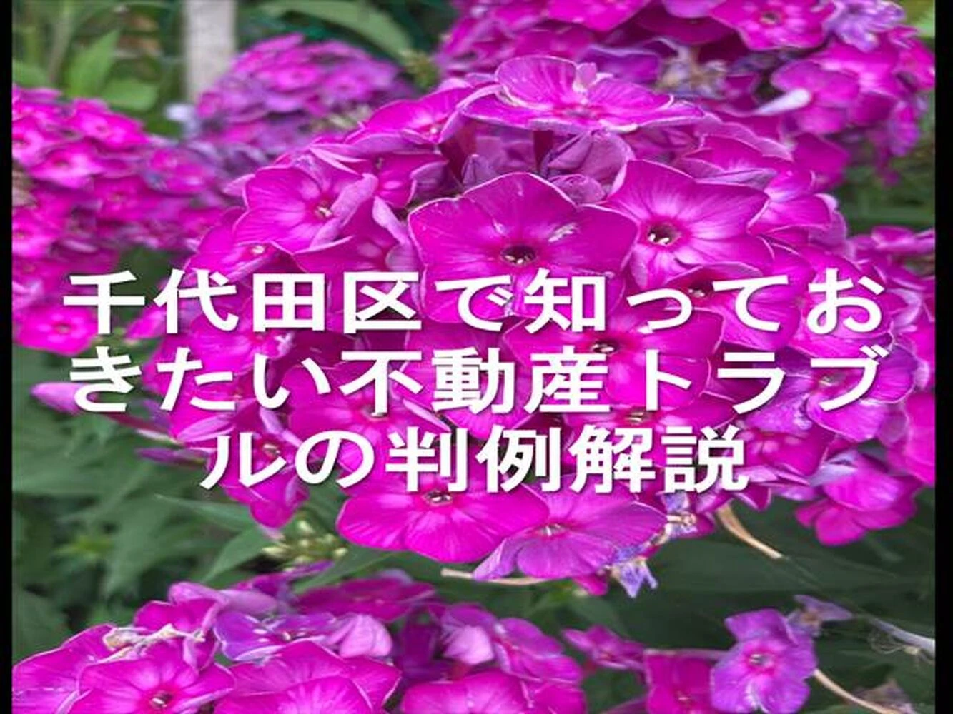 画像14752
