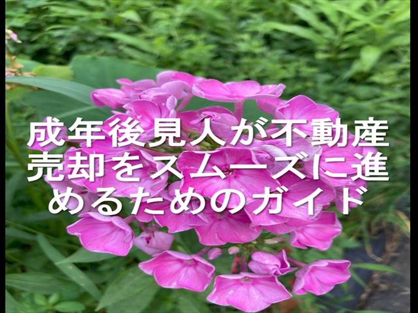 画像14791