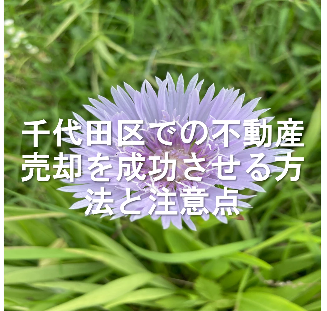 画像14850