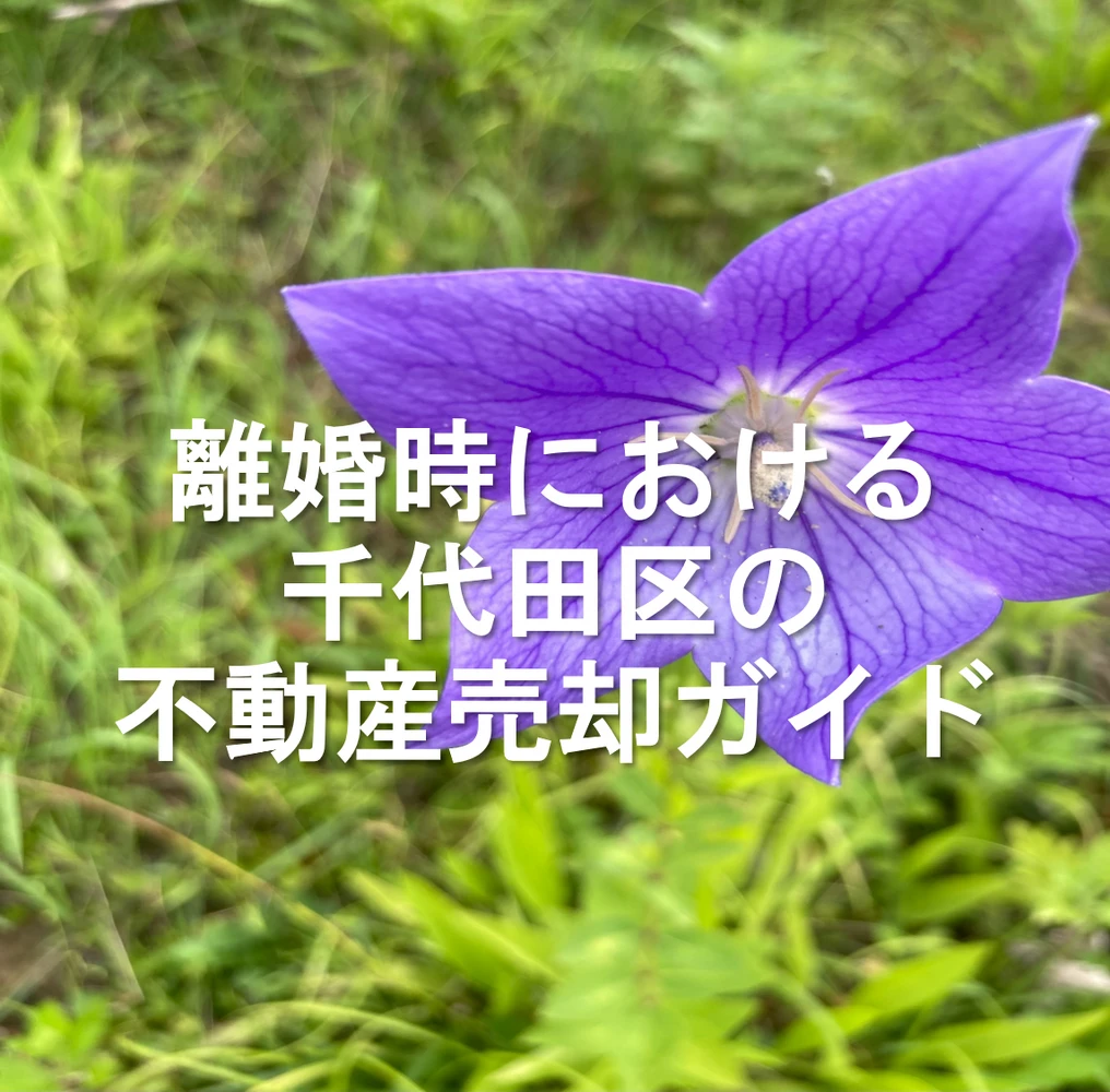 画像14908