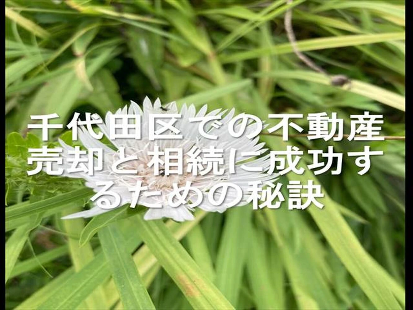 画像14959
