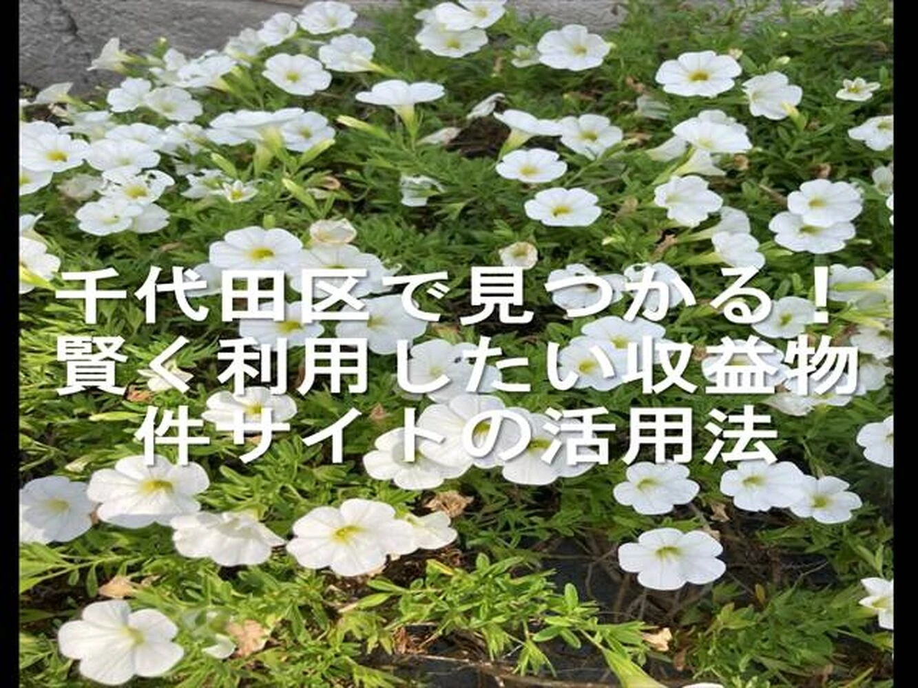 画像15018