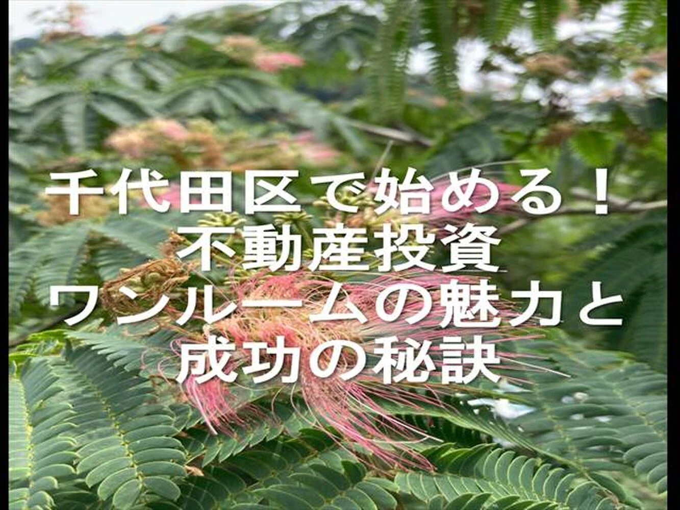 画像15027