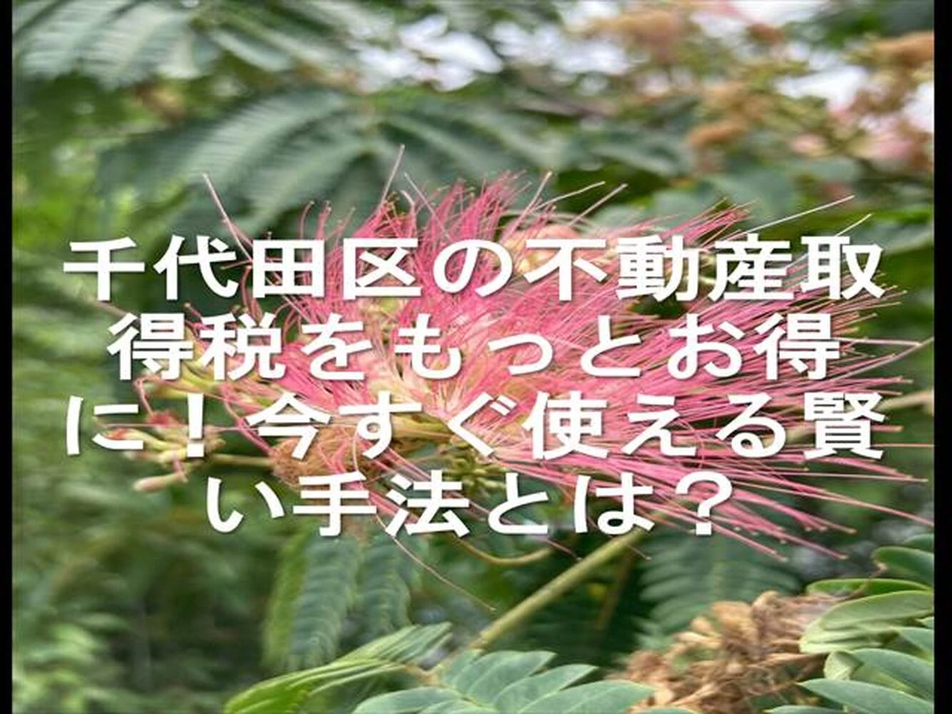画像15332