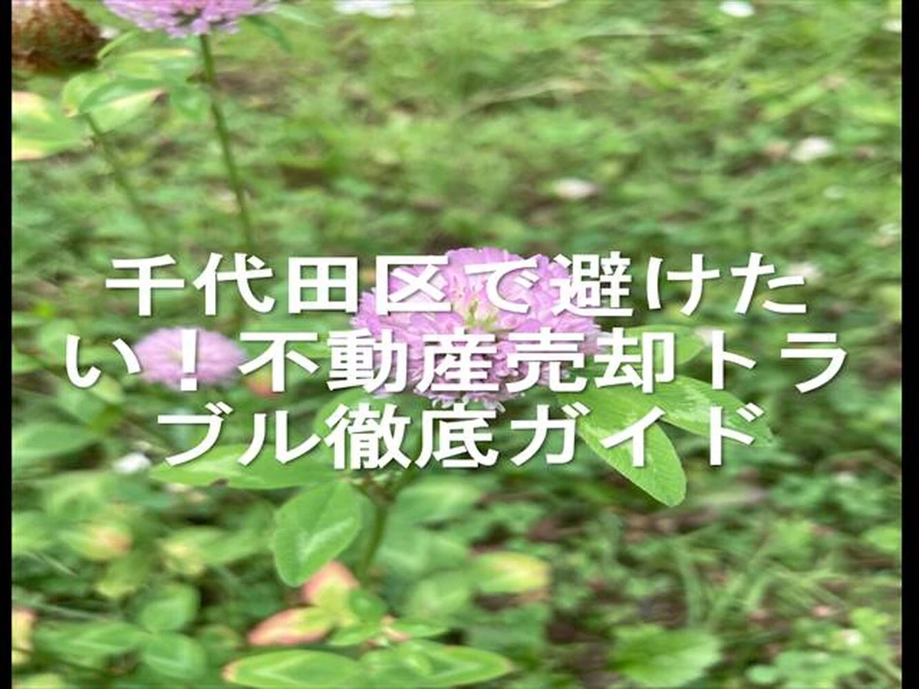 画像15381