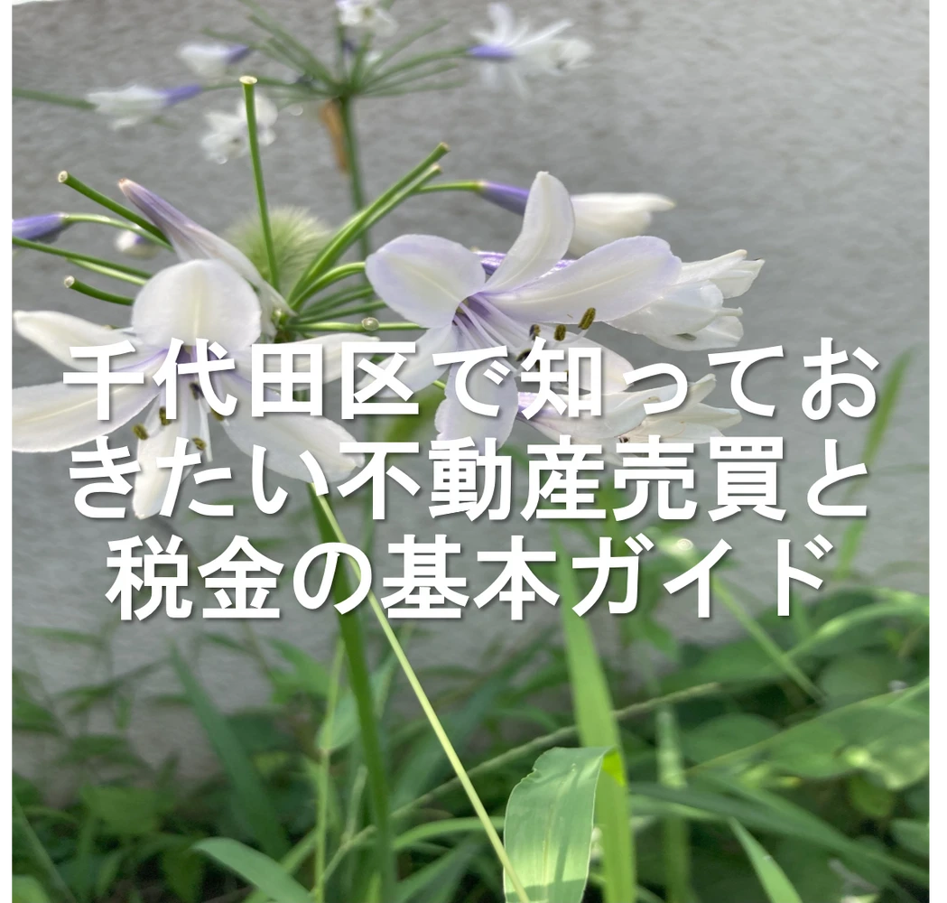 画像15696